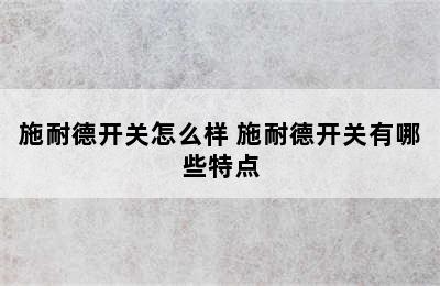 施耐德开关怎么样 施耐德开关有哪些特点